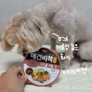 돈화식당 | 강아지화식사료 애견비책 후기