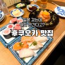 사또참치 | 후쿠오카 텐진 초밥 맛집 스시사카바 사시스 텐진점 솔직 후기
