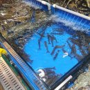 동구릉로136번길 이미지