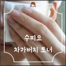 버치포레스트