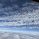 개밥하우스 | 중형견 제주 3박 4일 여행! 반려견 강아지 위탁수하물 방법, 김포공항 내 케이지 구매 팁/저가항공사 추천