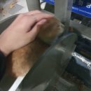 도계우회로~도상로 | 강대 도캠 식영