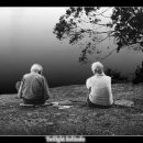 둥지해오름 이미지