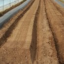 일철농장 이미지