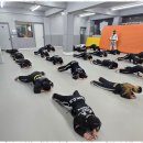 용인대 수 합기도 이미지