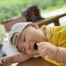 빌라드 아바 이미지