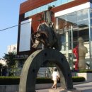 돈키호테-무식한 소 이미지