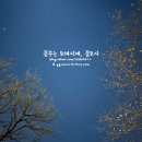 꿈꾸는 노마드 | 캠핑/Camping) 김포 코브노마드 데크 XL-12 with 아이두젠 반타곤MAX