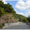 사곡중학교 이미지