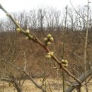 서당농장 이미지