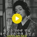 흐트러지다 ( Midareru - Sehnsucht. 1964 ) 이미지