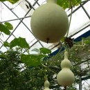 농부의 자연식 이미지