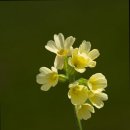 청록소규모요양시설 | 추천 광주시 서구 요양원 평안의집 소규모요양시설 편안한 돌봄 제공