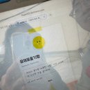들불 | 26 제주 들불축제 후기,올해는 진짜 불을 태우는구나