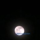 골드문 - 중구 동천2길 21 | 골드문