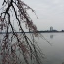 구름따라 그곳에가면 이미지