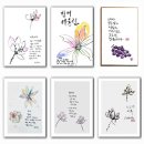 감성 담은 수채캘리 이미지