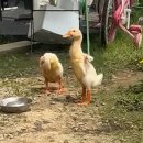 구성커피로스터스