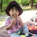 숲자연어린이집 | 🌿[하이얀어린이집 숲체험] 늘솔길공원 양떼목장...숲산책 후기 (인천 어린이집 체험학습/자연체험/양...