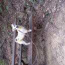 연산역 (1호선) 이미지