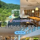 평창 숙소 추천 | 휘닉스파크 근처 호텔어라운드 평창 온돌룸 후기
