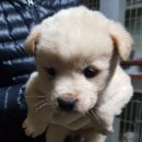 소사2길 이미지