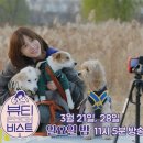 라이프 앤 뷰티 이미지