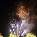 평택호길 | 주말아이와 2025 평택호 물빛축제 다녀왔다.