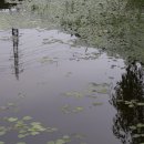 와우호수공원 이미지