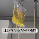 코끼리치과의원 이미지