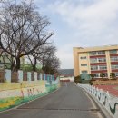 신탄진용정초등학교 이미지