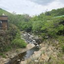 대둔산캠핑펜션오토캠핑장 | 경주 캠핑장 추천 전원일기펜션오토캠핑장 방문 후기-가족캠핑 솔직 리뷰