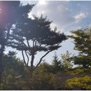 광교갤럭시공인중개사사무소 이미지