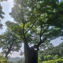 영천 은해사 기기암 신중도 | 영천 은해사 부속 7암자 사찰 순례-팔공산 등산-