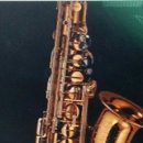 Alto- Selmer Refrence 소장자: 김욱기 이미지