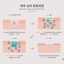 비엔메디 이미지