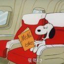 마약낙곱새 네이버블로그