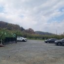 미산길 | [내돈내산][곡성 카페] 직접 키운 농산물을 주는 카페!🤭 [공림] 솔직 후기! (방문 일자 : 2025.11.20.(목))