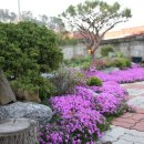 방촌농장 이미지