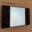 뚜레쥬르제주하귀점 | 3박 4일 제주 혼여행 | 통통한 밤처럼 알찬 둘째 날