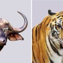 눈빛안경콘택트 이미지