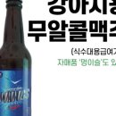 도기크루 이미지