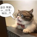 e편한민박 | [도쿄] 도쿄 가성비 숙소 한인 민박 ‘신주쿠 파크 빌라2’ 지브리방 2인 민다 내돈내산 후기 (가격...