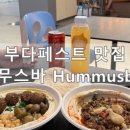 알리몰 이미지