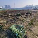 광성 농장 이미지