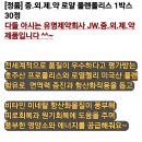 폴렌