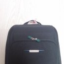 쌤소나이트 백팩 Samsonite Sahora S 가격내림 4만원 이미지