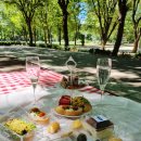 쫑랑쫑랑 | 뚝섬역 카페 뜨리에이치 서울숲 피크닉 세트 대박