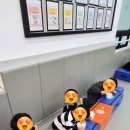 매현태권도 이미지