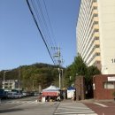 부영약국 | 칠곡 석적 장날 후기🔥 떡볶이·족발·멸치까지 솔직 먹거리 쇼핑 (재방문의사 있음)